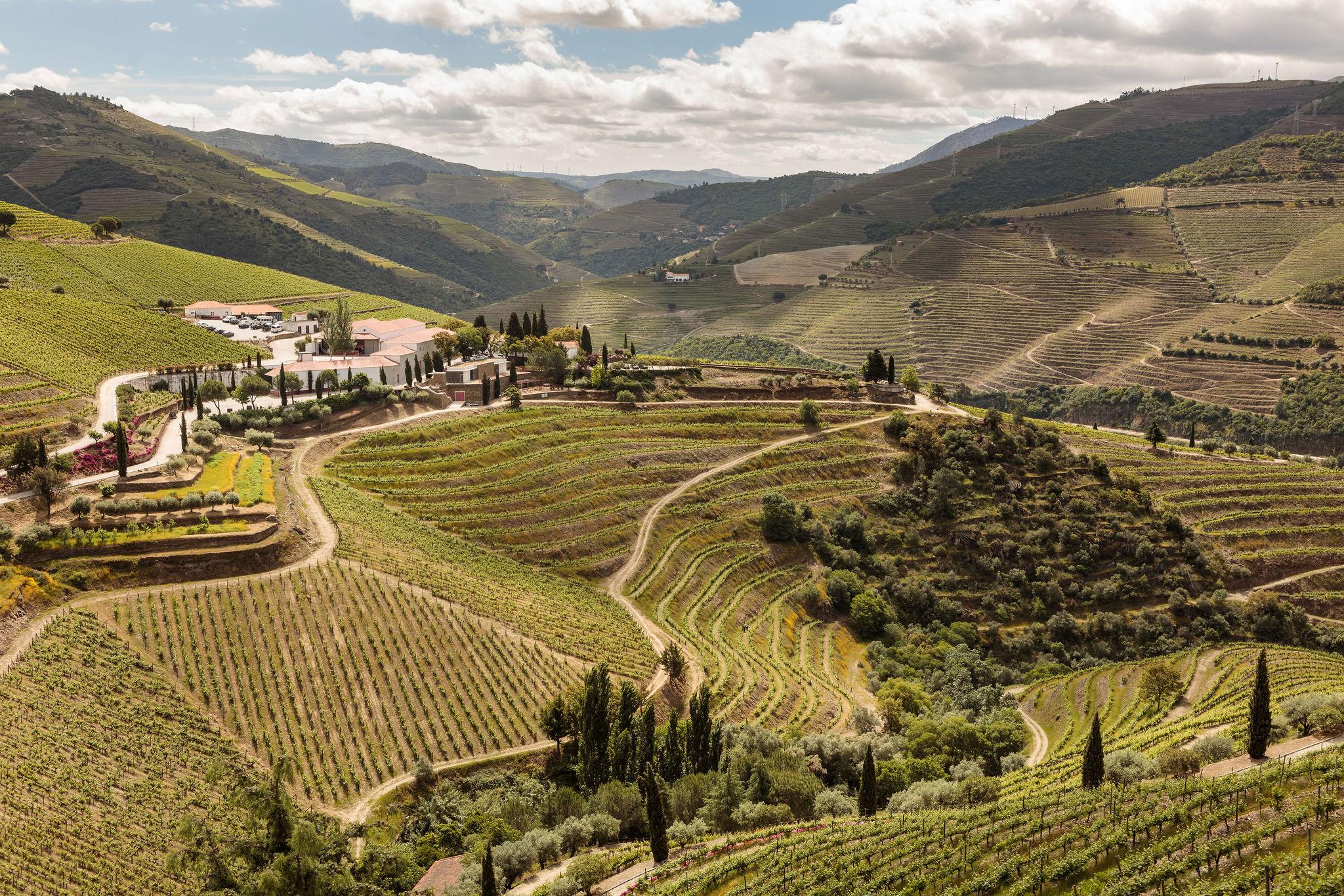 Quinta Nova Winery House - Relais & Chateaux ピニョン エクステリア 写真